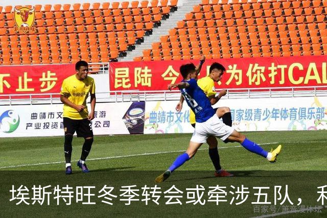 埃斯特旺冬季转会或牵涉五队，利物浦有望重燃追逐